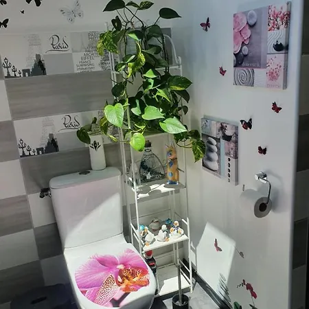 빌라 M Et M *